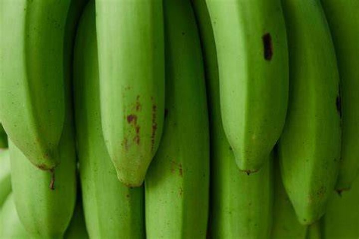 Can you eat green Alkanet?