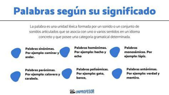 ¿Cuál es el significado de torso?