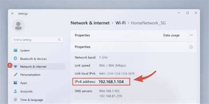 How do I know if my IP address is being Natted?