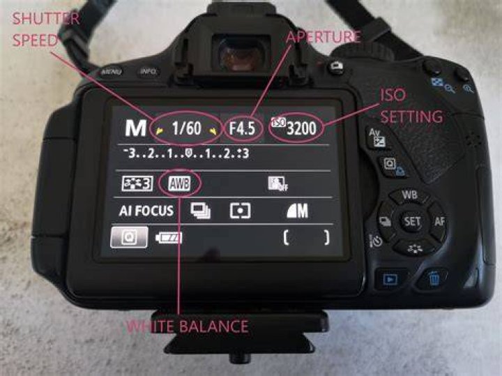 How do I put my Canon camera into manual mode?