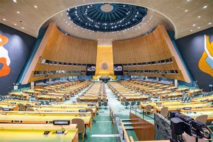 Is the UN actually useful?