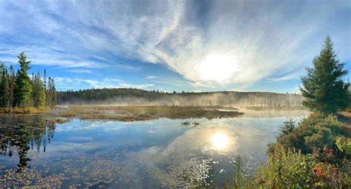 Is there service at Algonquin Park?