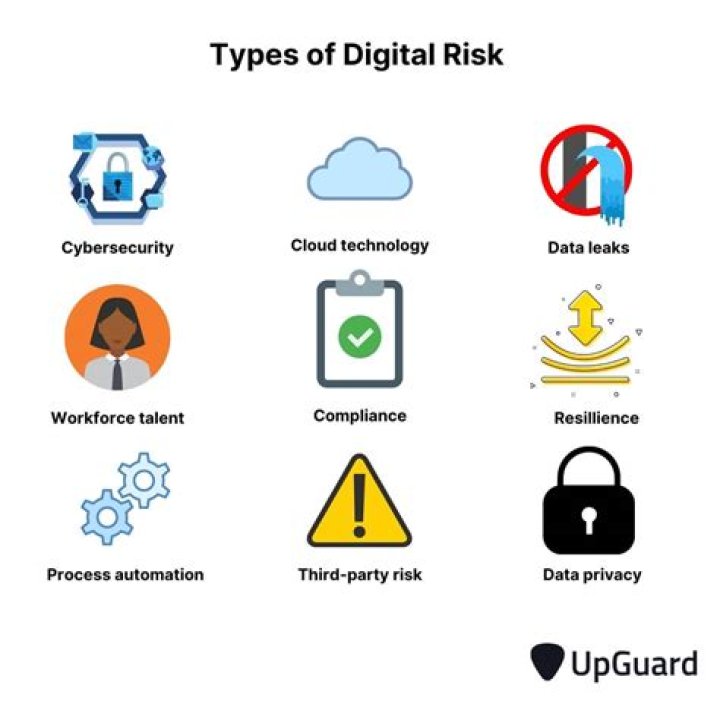 What are digital security risks?