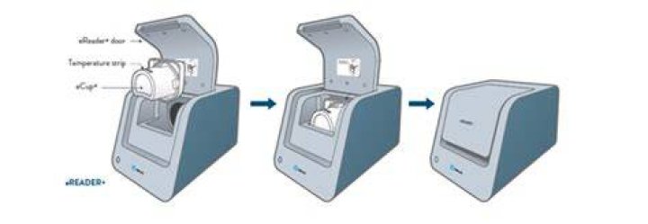 What does an eCup drug screen test for?