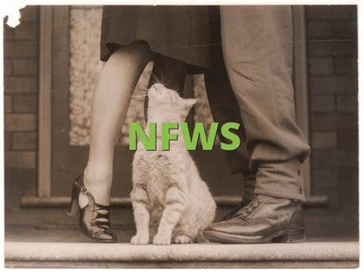 What does NFWS mean?