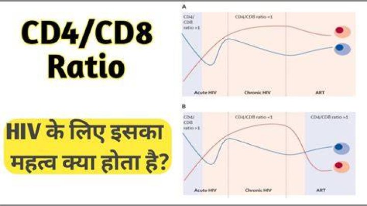 What is a normal cd4 cd8 ratio?