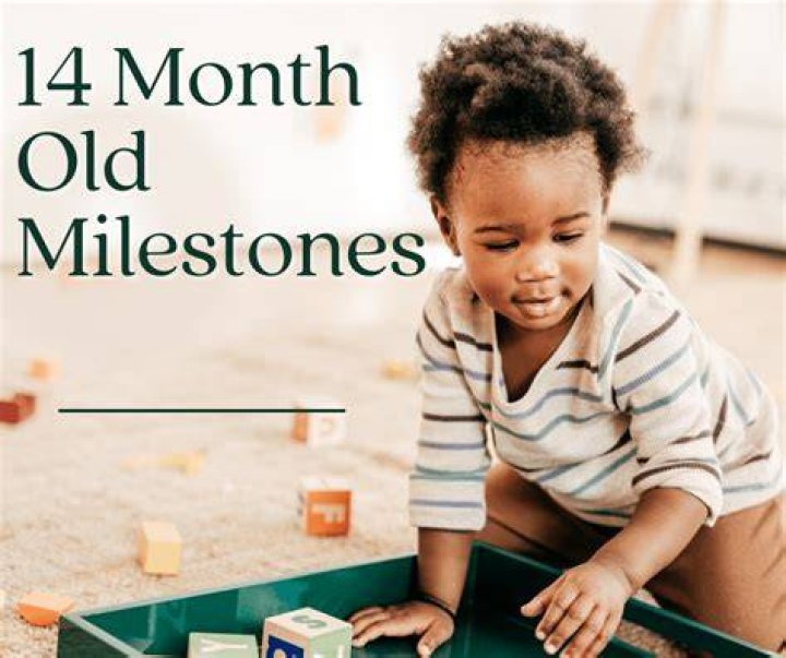 What is the 14 month?