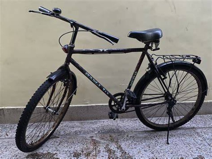 What is the Ranger cycle?