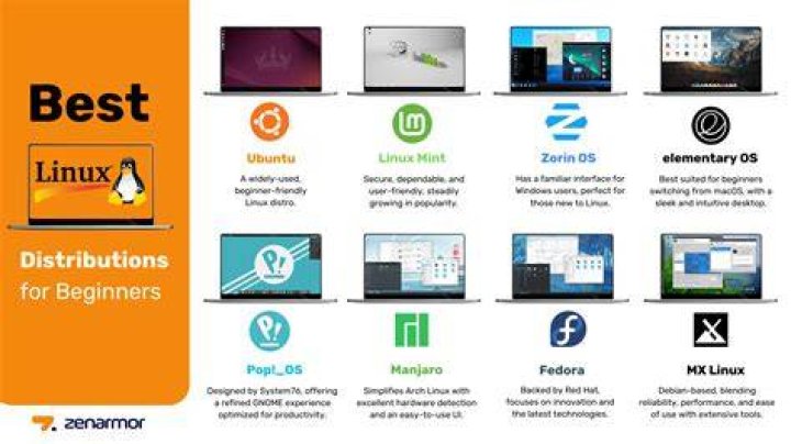 Which Linux distro is best for multimedia?