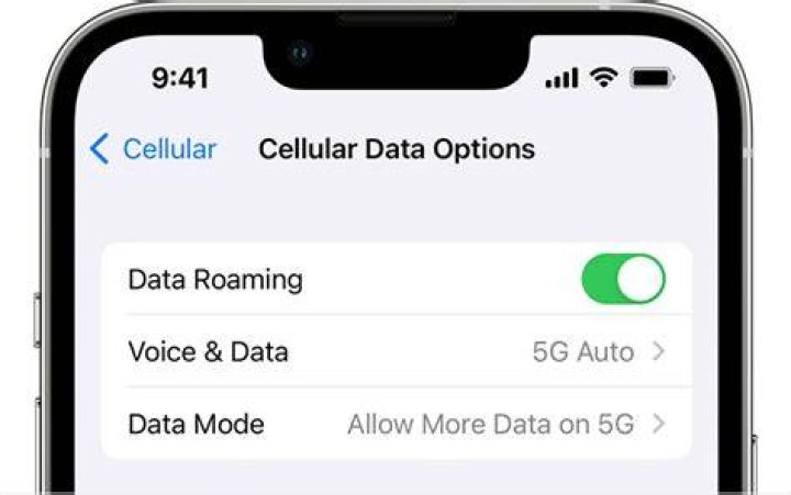 Why can't you use cellular data on a plane?
