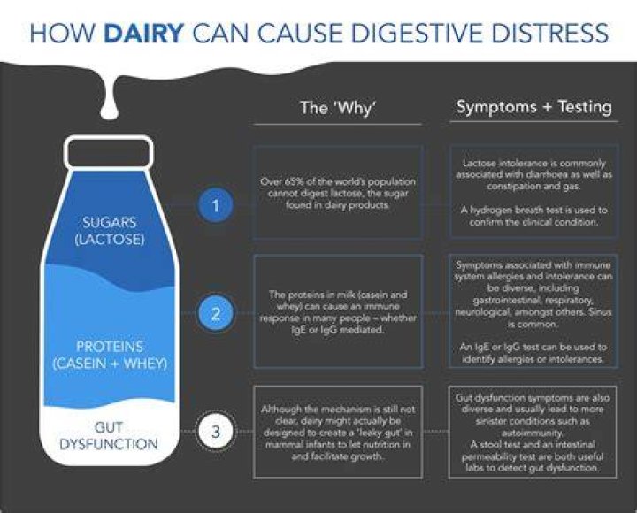 Why does dairy make me nauseous?